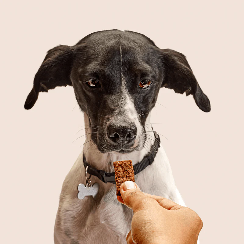 Weight Protect Snacks: Mel & Canela - Image 4