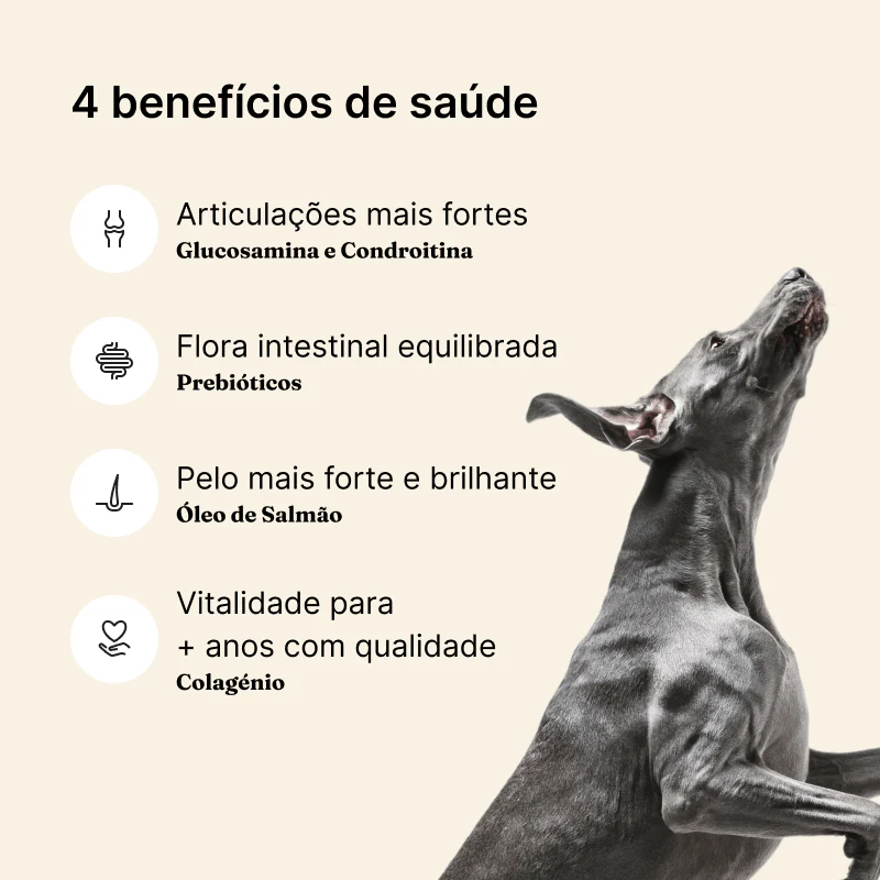Ração Longevidade · Core 15 - Image 4