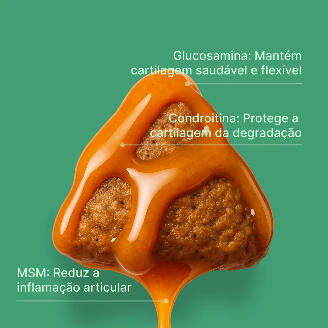 Suplemento Anti Dysplasia - Image 3