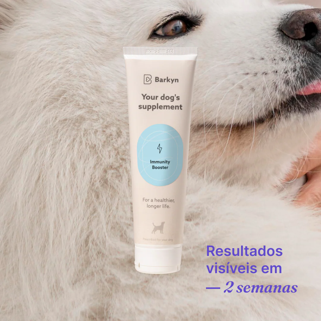 Suplemento Immunity Boost - Image 3