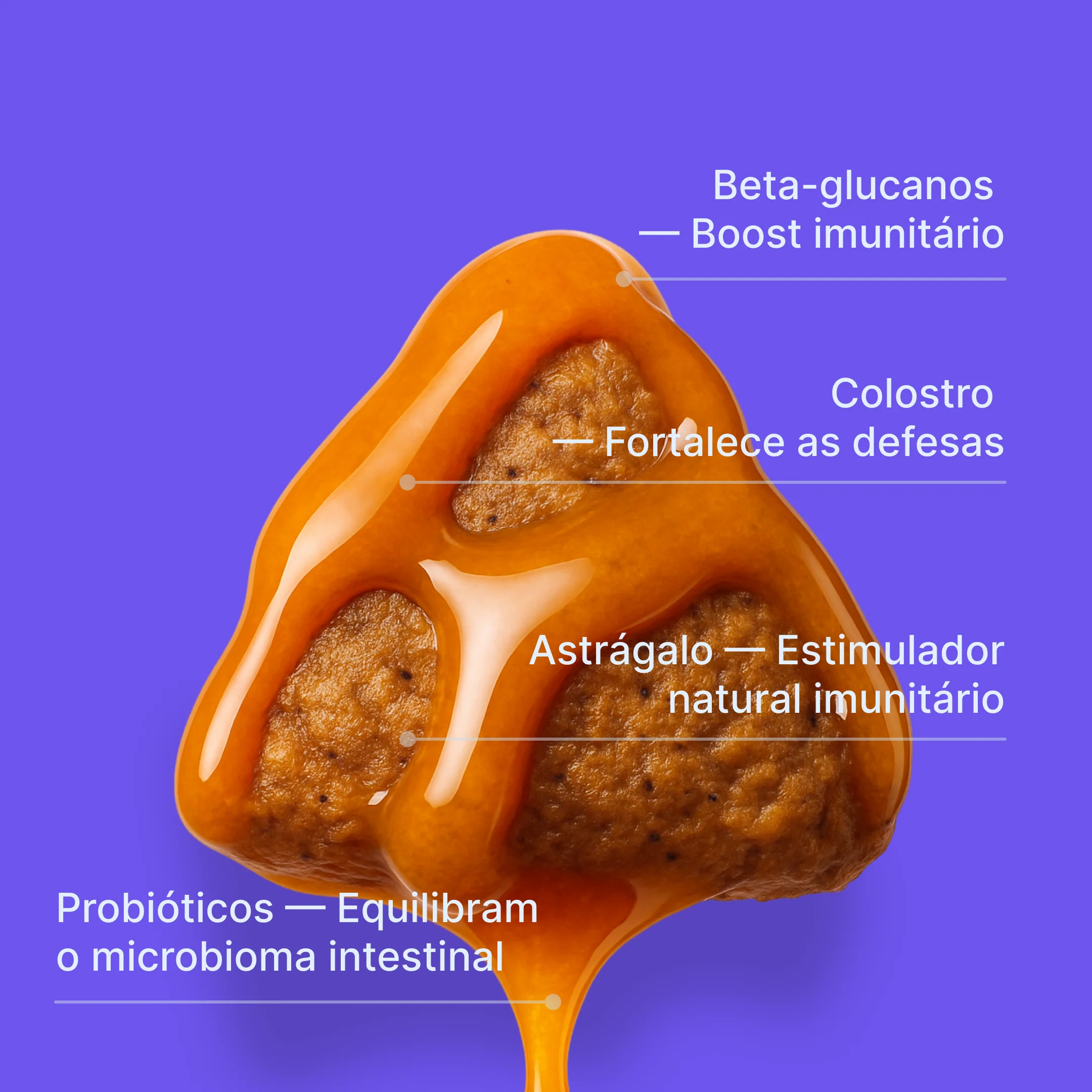 Suplemento Immunity Boost - Image 4